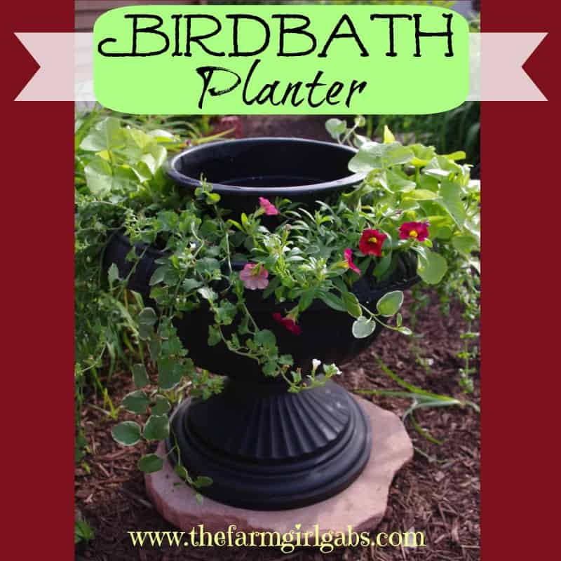 How To Make A Birdbath Planter