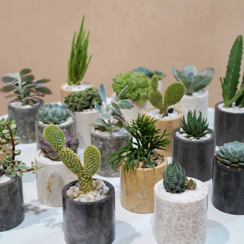 Small Marble Pot