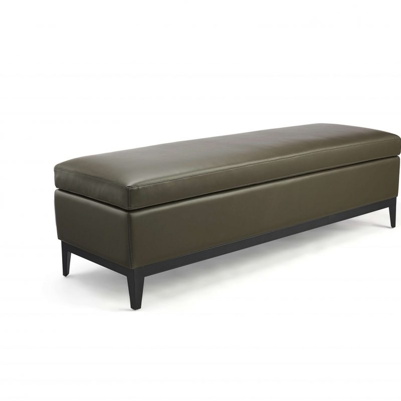 Eira Bench