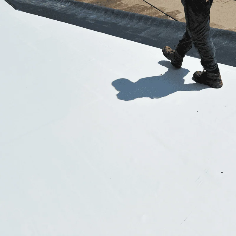 Case Study: Weston Elementary School