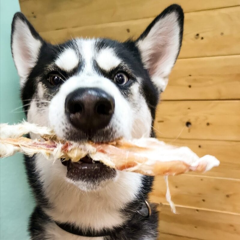 Orejas de Conejo con Pelo 100 gr