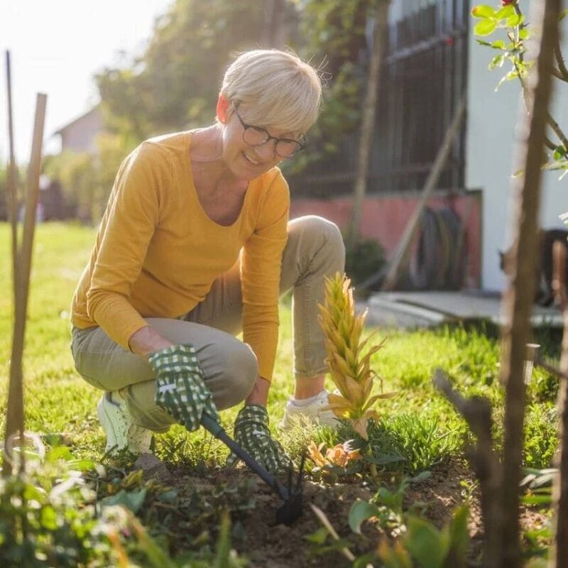 Betreuungsangebot +Haushaltshilfe+&+Assistenz