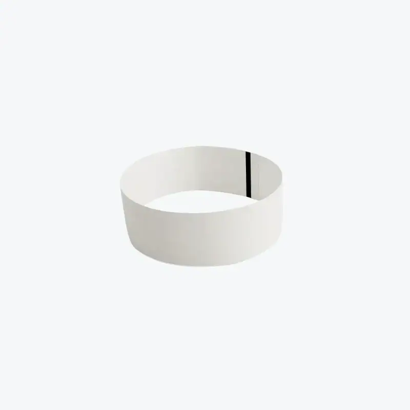 1" Plain Tyvek Wristbands