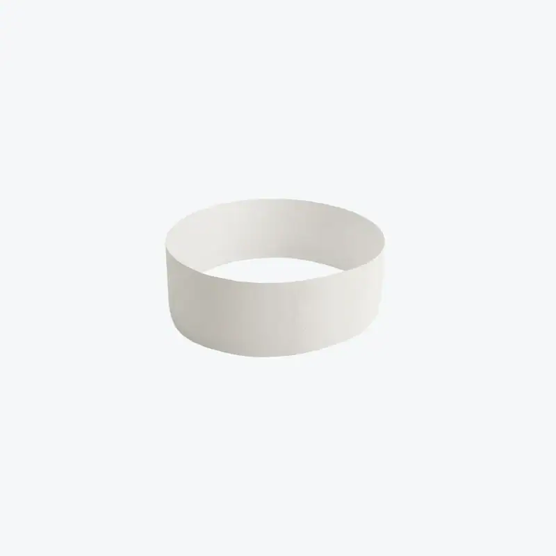 1" Plain Tyvek Wristbands