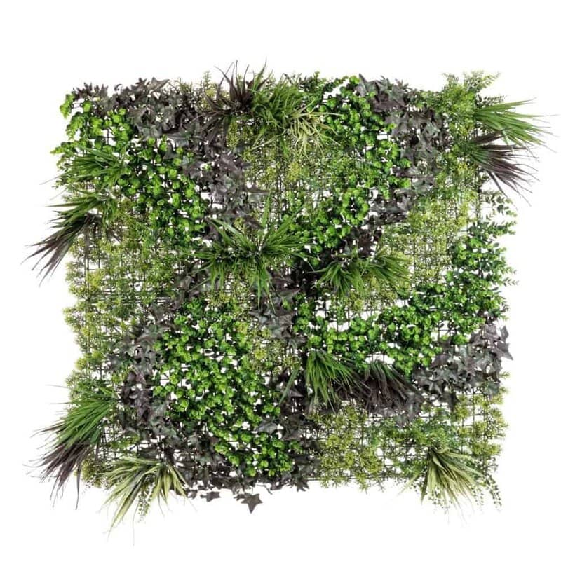 Piante decorative per ambienti interni ed esterni, perfetta per arredi naturali, design sostenibile e atmosfera verde.