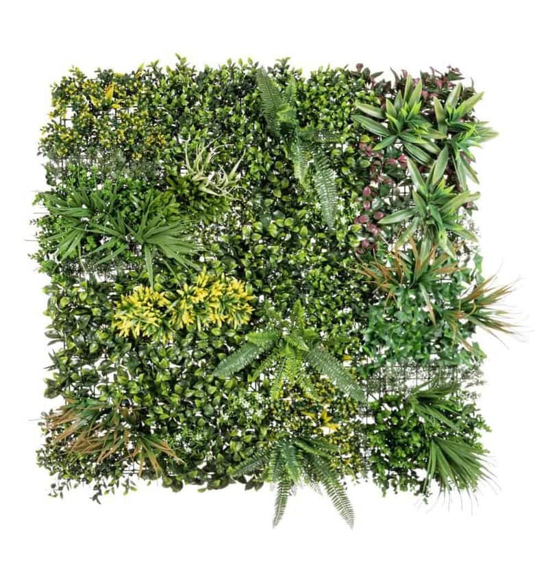 Pannello di piante verdi per interni e esterni.