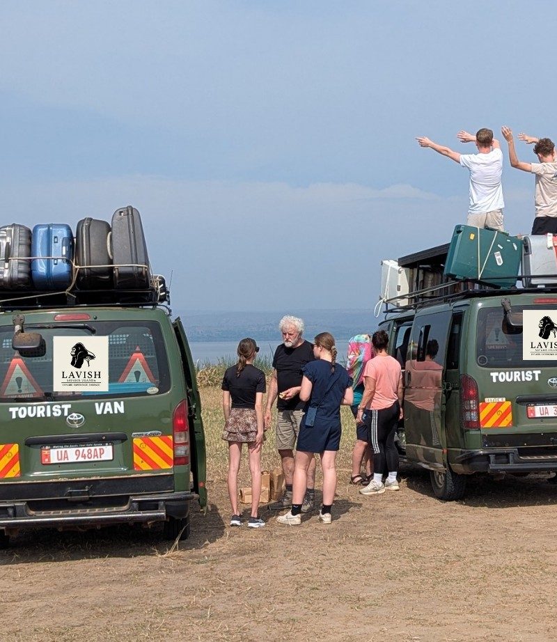 Book a Wildlife Safari in Uganda