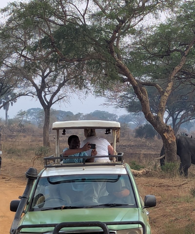 murchison falls