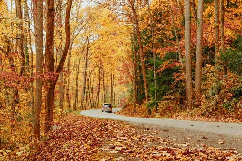 A car driving along Little River Road in fall in Great Smoky Mountains National Park