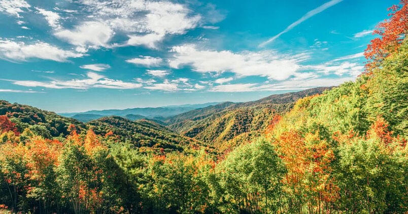 A scenic view of fall trees in Great Smoky Mountains National Park