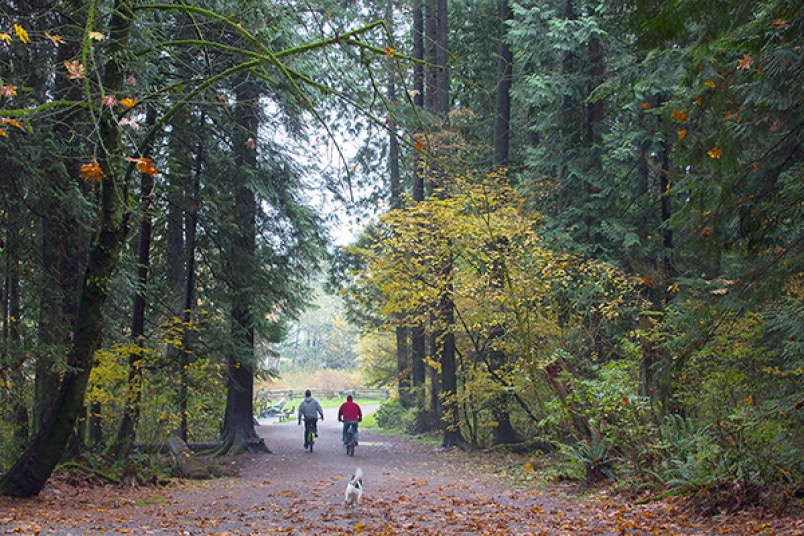 Mundy Park in Central Coquitlam is a large park with 2 lakes, trails and off-leash dog area.