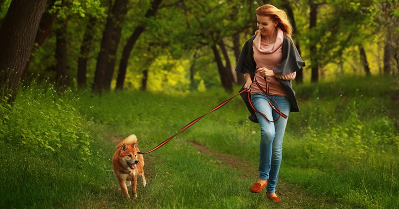 How to create a stronger connection with your dog