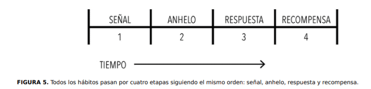 proceso