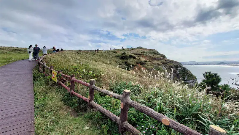 濟州牛島