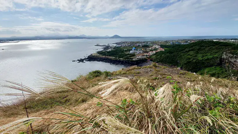 濟州牛島