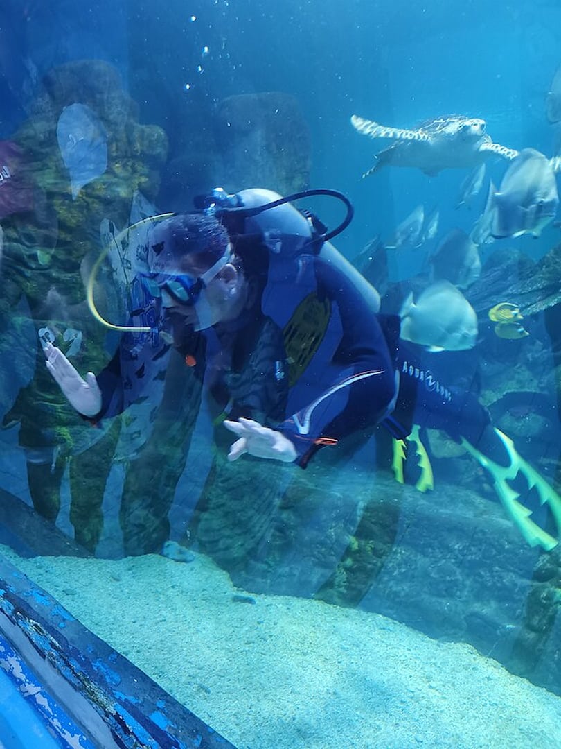 Tauchen im Hurghada Grand Aquarium