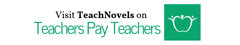 teachers pay teachers banner link