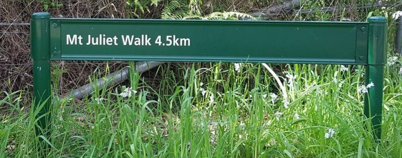 Mt Juliet Walking Track Yarra Ranges National Park Mt Juliet Walking Track, Yarra Valley