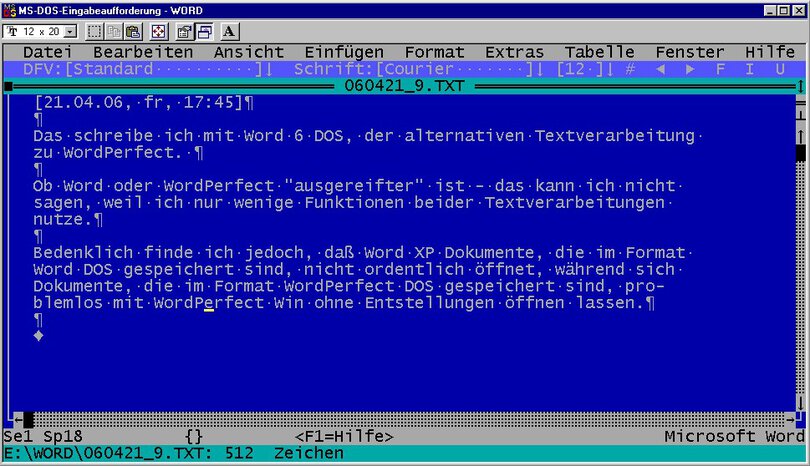 MS Word 6 - der Gigant der Textverarbeitung jener Jahre