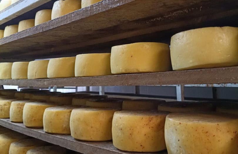Argentina logra su primer queso con sello de origen 1 Argentina logra su primer queso con sello de origen - Injerta | Comunicación y difusión agropecuaria de Entre Ríos