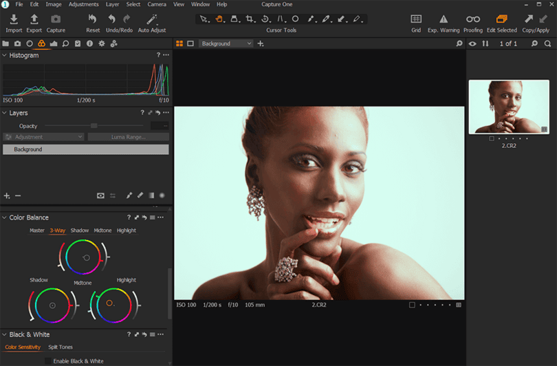 Es gibt zig RAW-Konverter, z.B. Capture One (Screenshot)