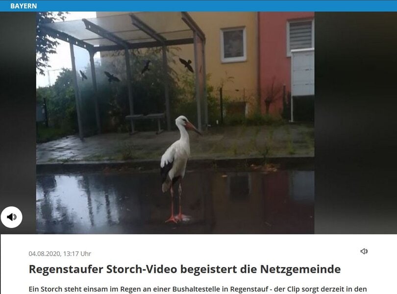 Wenn etwas "die Netzgemeinde" begeistert (Screenshot)