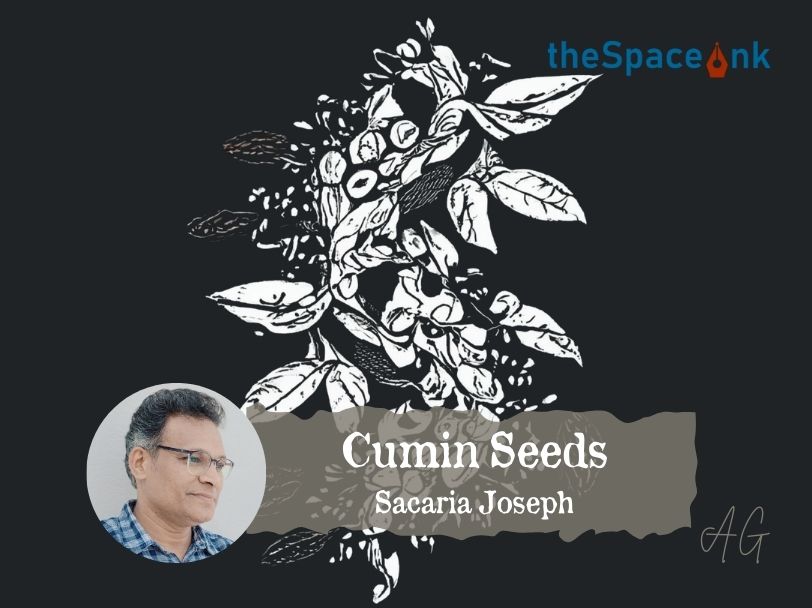 Cumin Seeds Cover