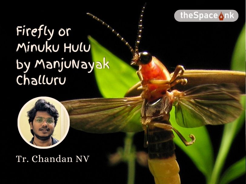 Firefly