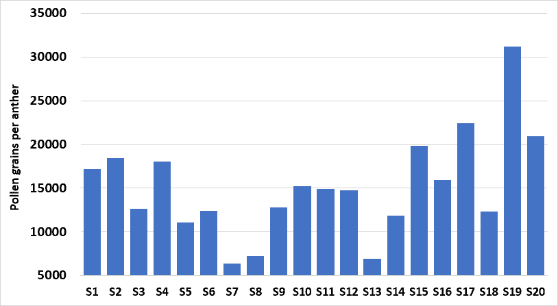 Graph of Sunflower Pollen Count