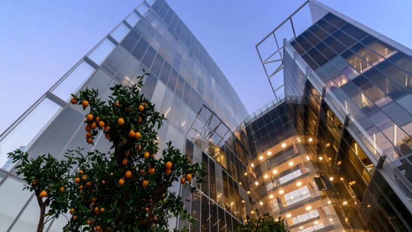 משרדים וגג רמת החייל