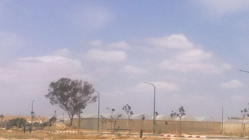 מגרש למכירה מרלוג
