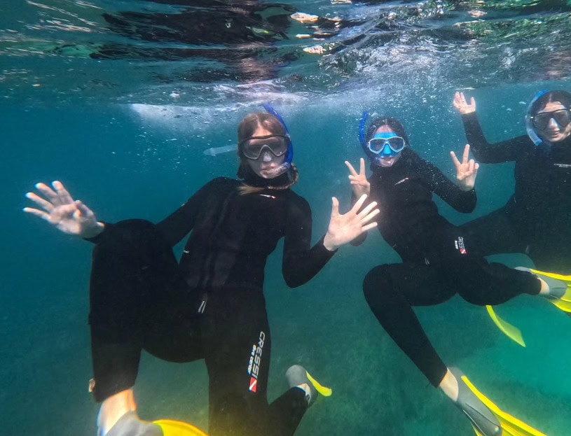 Submarinismo y Oceanografía, unidos en Plàncton Diving