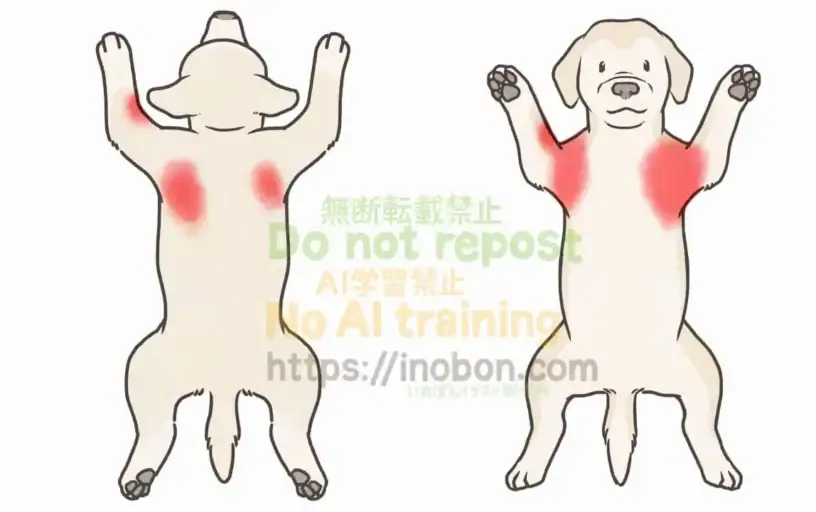 アトピー性皮膚炎の皮疹の分布図と犬の全身イラスト
