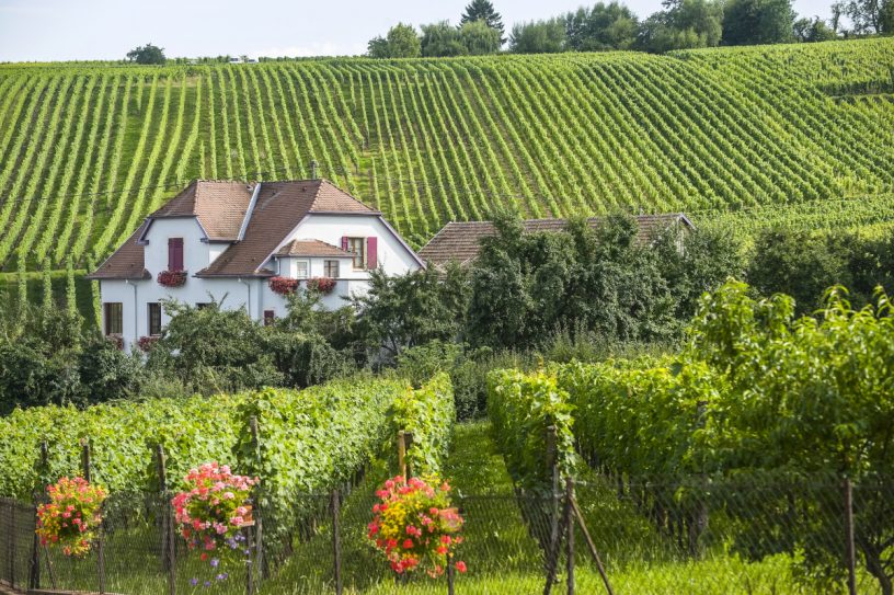 Haus mit einem Gut.