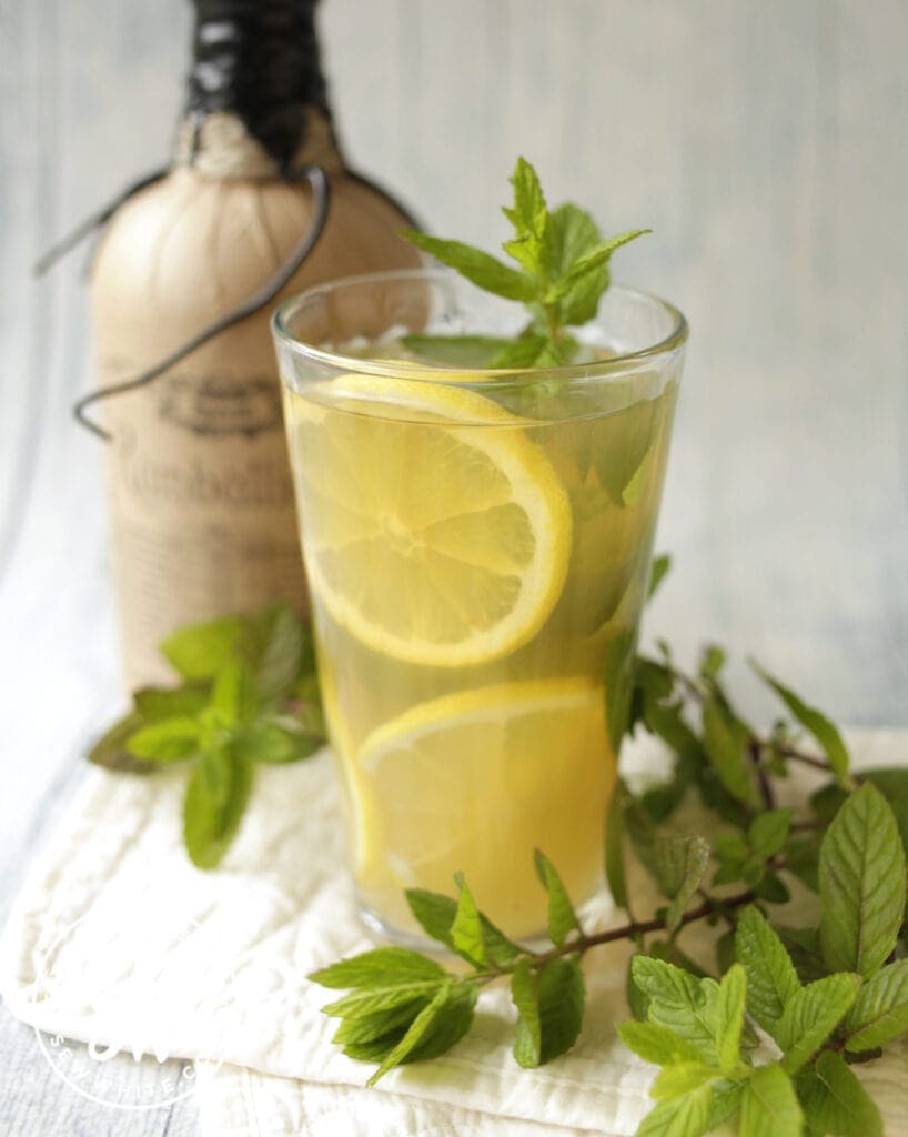 Apple Cooler cocktail with lemon slice and sprigs of mint