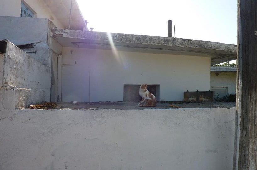 Cretan renovation cottage