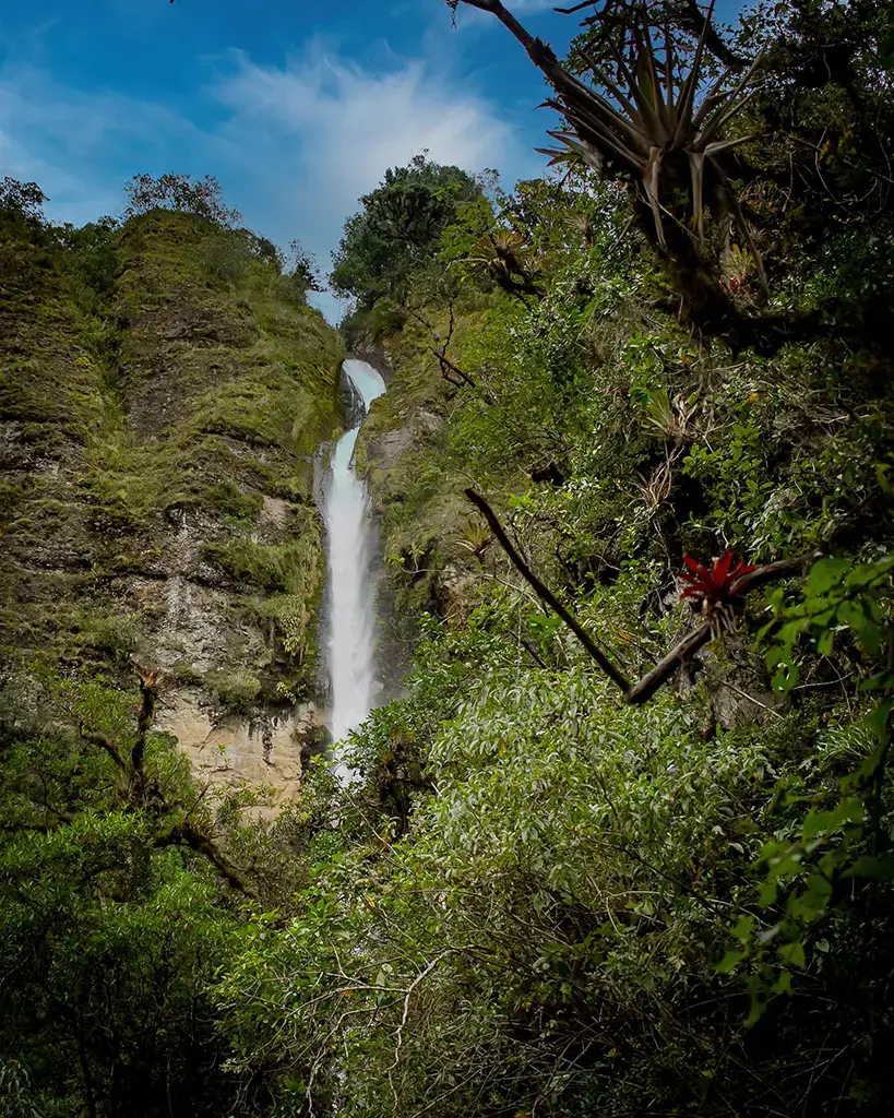 A picture of a waterfall in the jungle in the Pgilippines.
