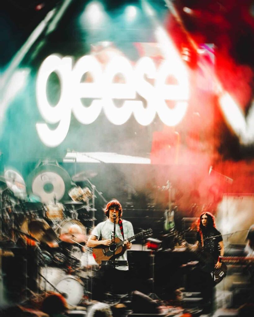 Geese and their record Psyop, in The Cold Magazine