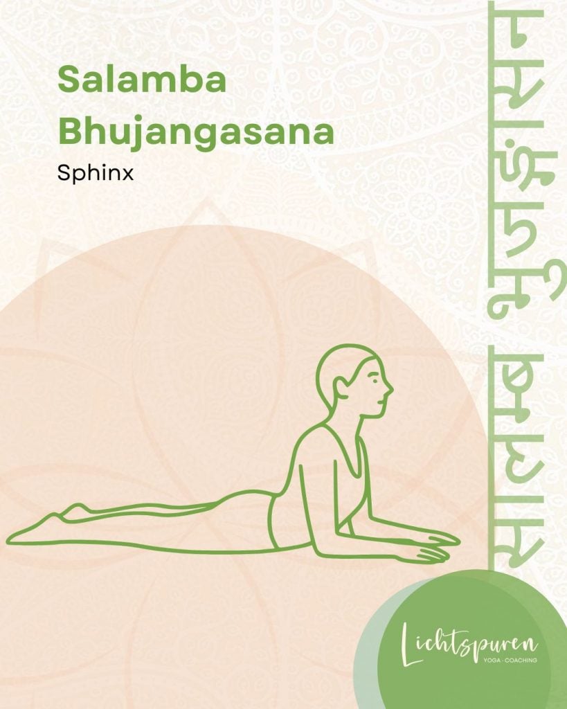 05 Asana Salamba Bhujangasana Sphinx