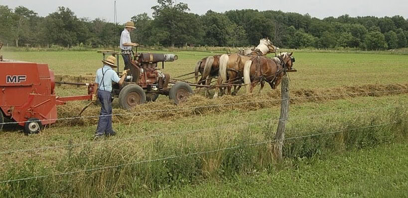 American Farming