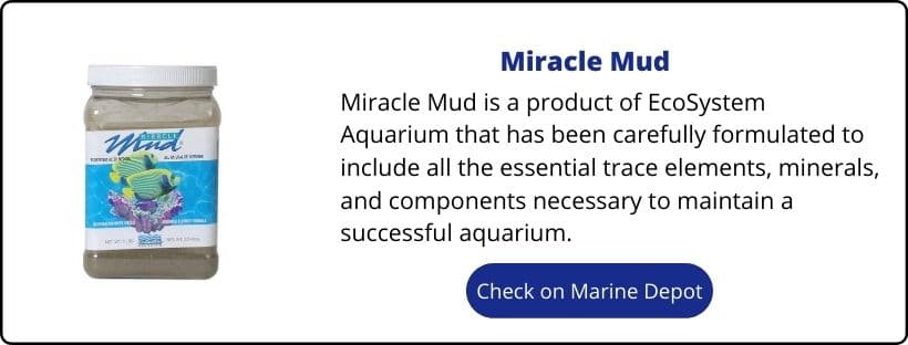 Miracle mud refugiums