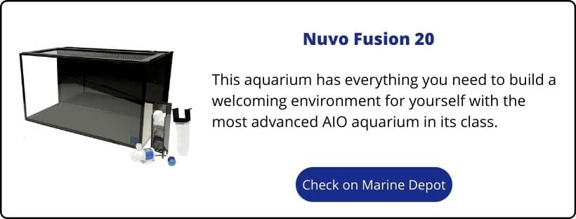 nuvo fusion 20