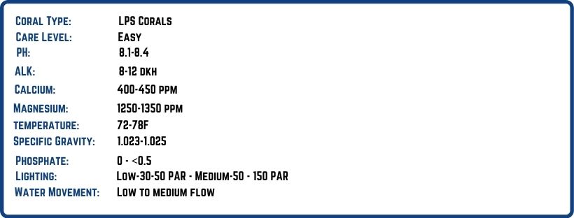 LPS coral water parameters