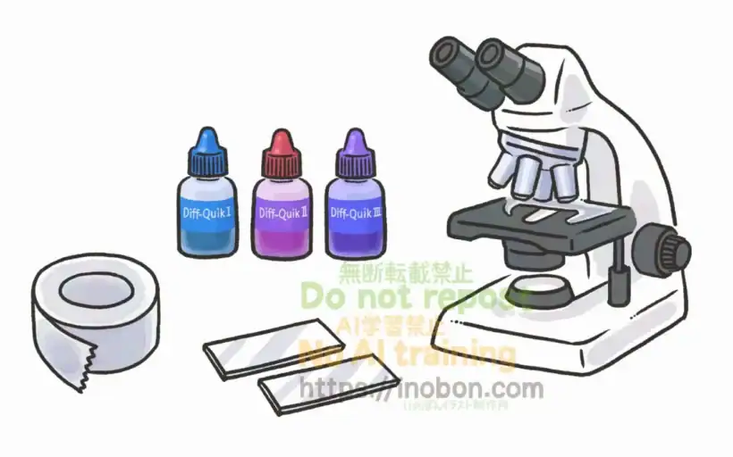 顕微鏡やスライドグラス、染色液など皮膚検査に必要な用品