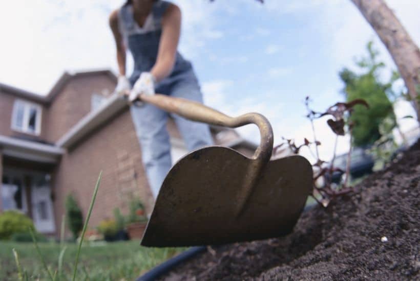 5 Ways to Spruce Up Your Midsummer Garden