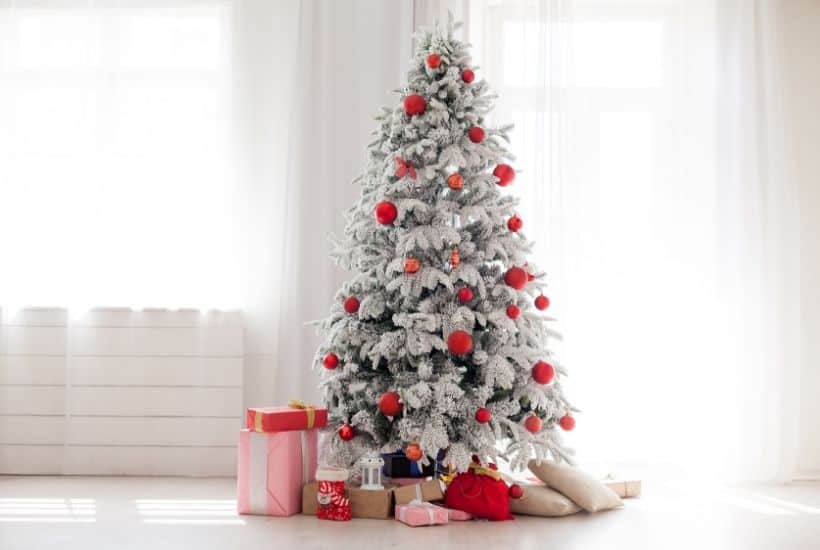 Check out these helpful tips on How To Choose The Perfect Christmas Tree. Choosing the family Christmas tree is fun for everyone. Follow these tips to ensure your tree lasts throughout the holiday season. #christmastree #christmasdecorations #christmasornaments #farmhousechristmas