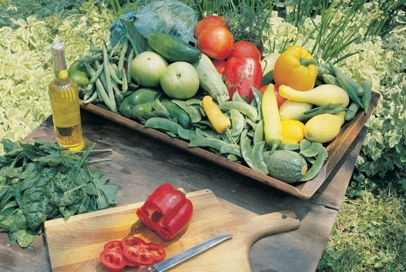 How To Start A Vegetable Garden