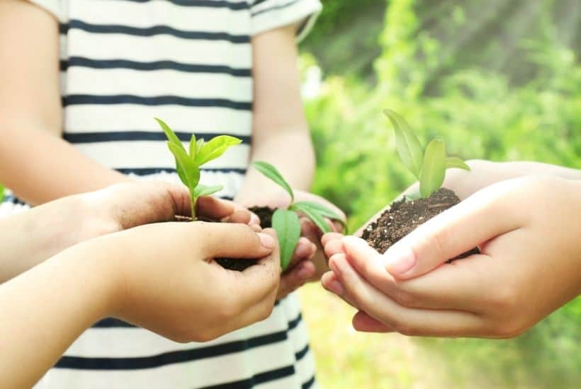 gardening ideas for kids