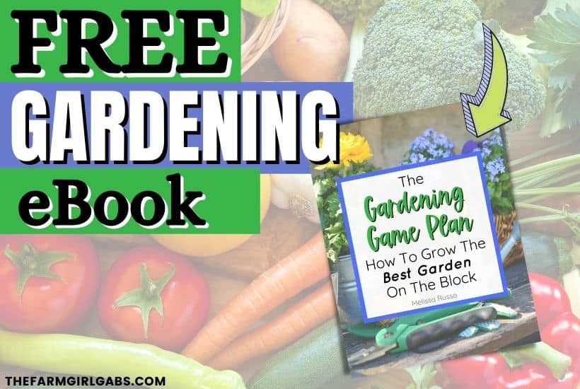 Learn how to grow the best garden on the block. Download this free gardening ebook full of gardening ideas. Whether you are planting a vegetable garden or flower garden, read these expert gardening tips from a pro that will help you plant your best backyard garden ever!