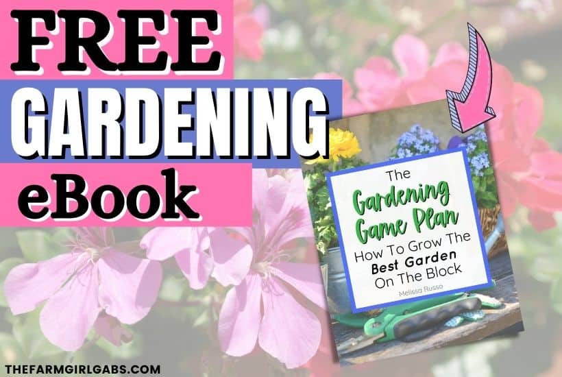 Learn how to grow the best garden on the block. Download this free gardening ebook full of gardening ideas. Whether you are planting a vegetable garden or flower garden, read these expert gardening tips from a pro that will help you plant your best backyard garden ever!